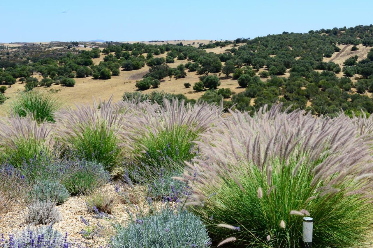 Vistas - Herdade Do Zambujal Castro Verde Dış mekan fotoğraf